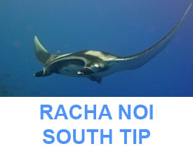 Phuket Dive Guide : Rachai Noi South Tip