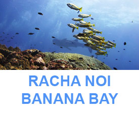 Phuket Dive Guide : Rachai Noi Banana bay