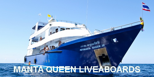 manta Queen liveaboards booking