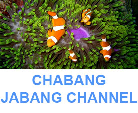 Phuket Dive Guide ; Chabang Jabang channel