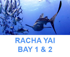 Phuket Dive Guide : Racha yai Bay 1 & 2