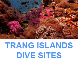 Phuket Dive Guide southern trang islands dive sites