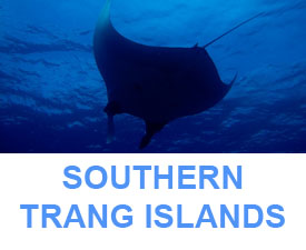 Phuket Dive Guide : swouthern Trang islands