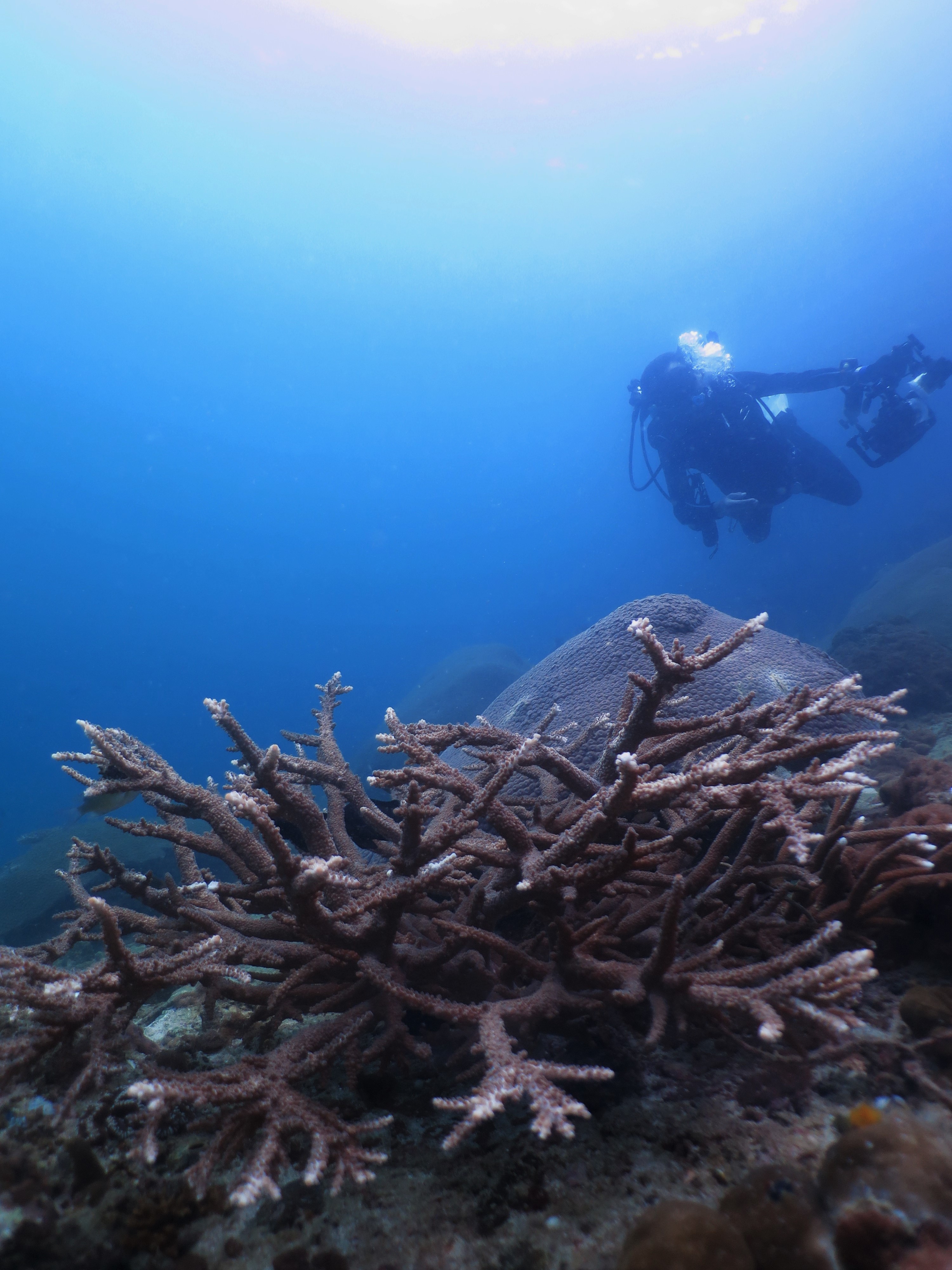 Similan islands diving liveaboard tours